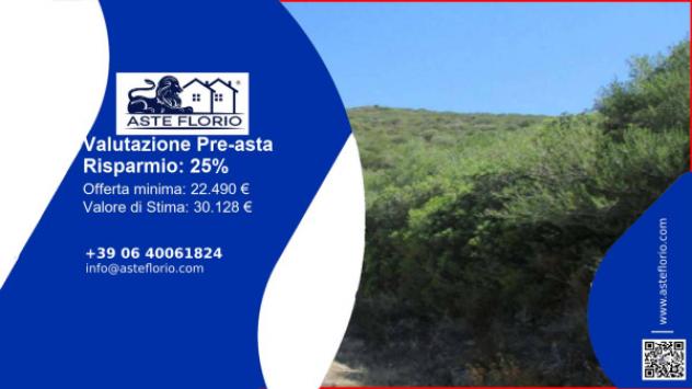 terreno agricolo in vendita a Viddalba