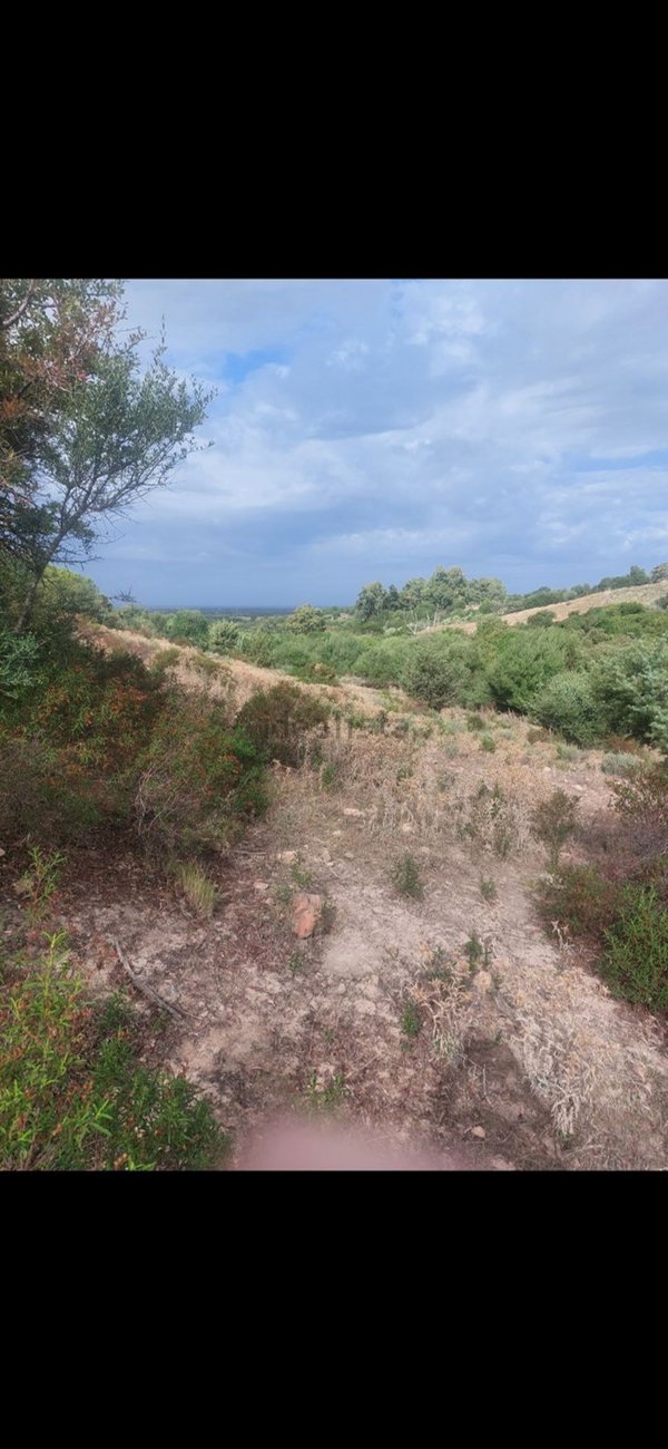 terreno agricolo in vendita a Viddalba