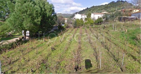terreno agricolo in vendita a Viddalba