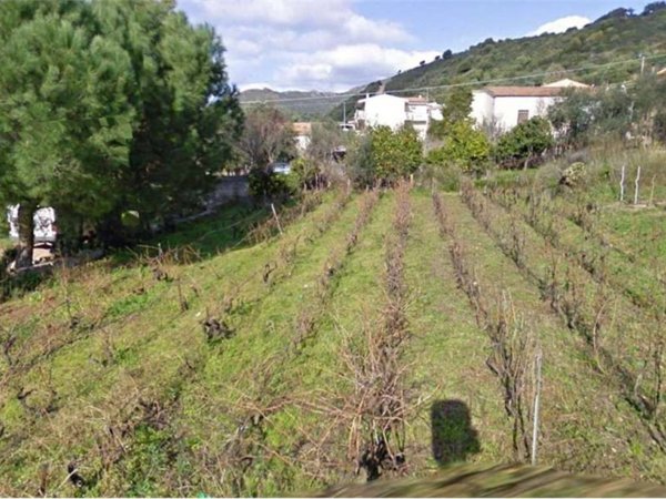 terreno in vendita a Viddalba