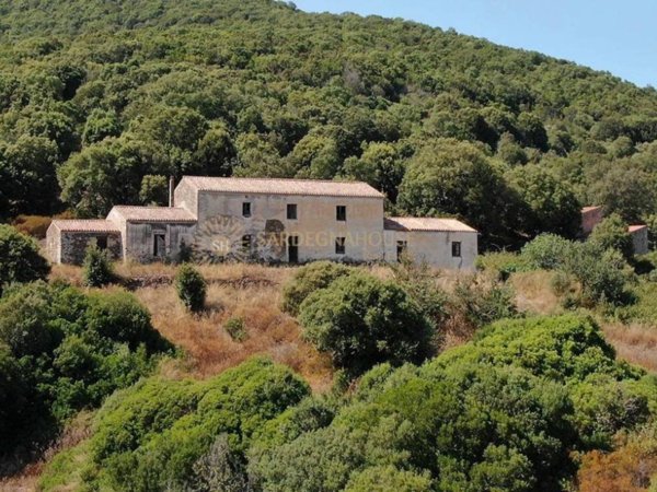casa indipendente in vendita a Viddalba