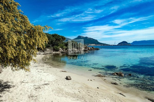 appartamento in vendita a Golfo Aranci