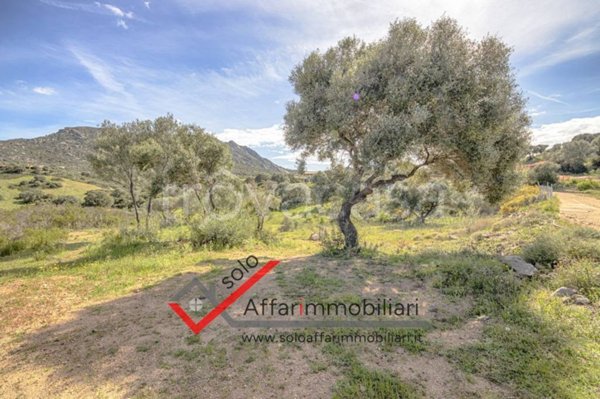 terreno agricolo in vendita a Golfo Aranci in zona Rudalza