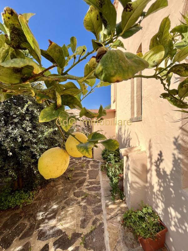 casa indipendente in vendita a Golfo Aranci