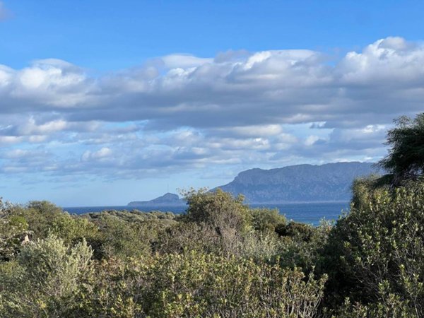 terreno agricolo in vendita a Golfo Aranci in zona Bados