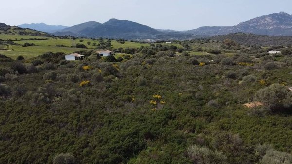 casa indipendente in vendita a Golfo Aranci