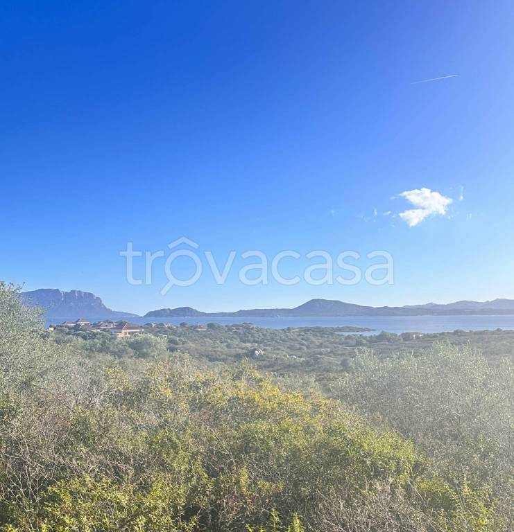 terreno agricolo in vendita a Golfo Aranci