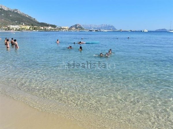 appartamento in vendita a Golfo Aranci