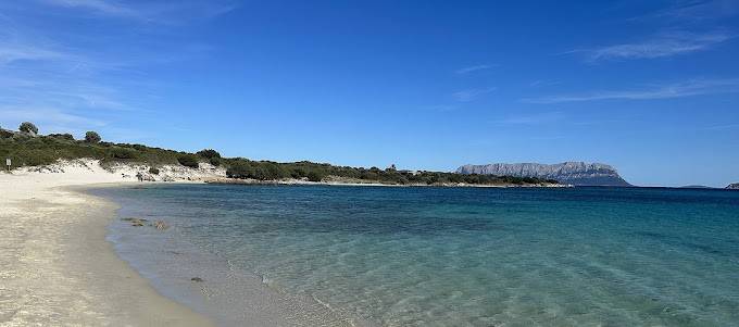 appartamento in vendita a Golfo Aranci