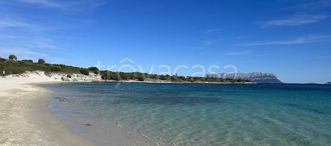 appartamento in vendita a Golfo Aranci