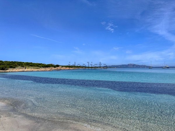 appartamento in vendita a Golfo Aranci