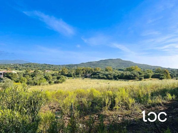 terreno agricolo in vendita a Golfo Aranci in zona Rudalza