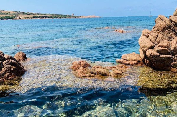 appartamento in vendita a Golfo Aranci