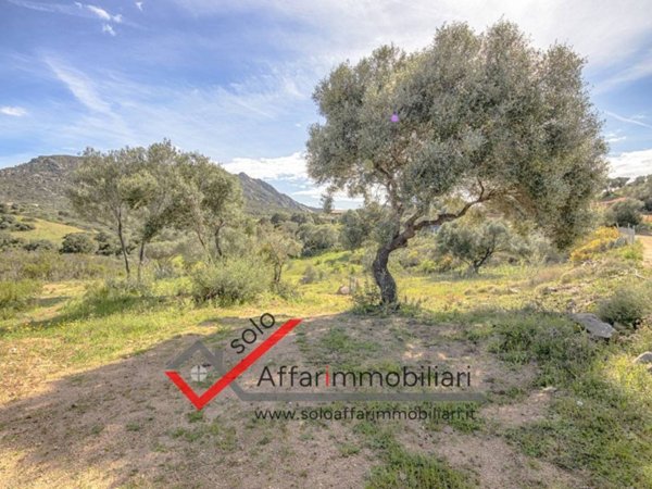 terreno agricolo in vendita a Golfo Aranci in zona Rudalza