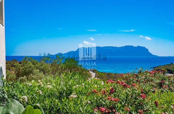 casa indipendente in vendita a Golfo Aranci