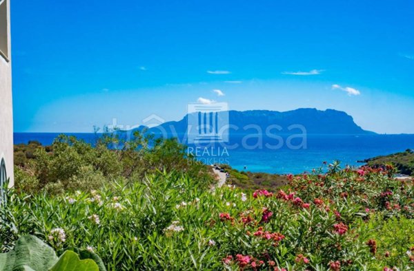 casa indipendente in vendita a Golfo Aranci