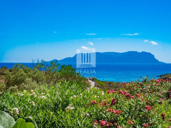 casa indipendente in vendita a Golfo Aranci in zona Marinella
