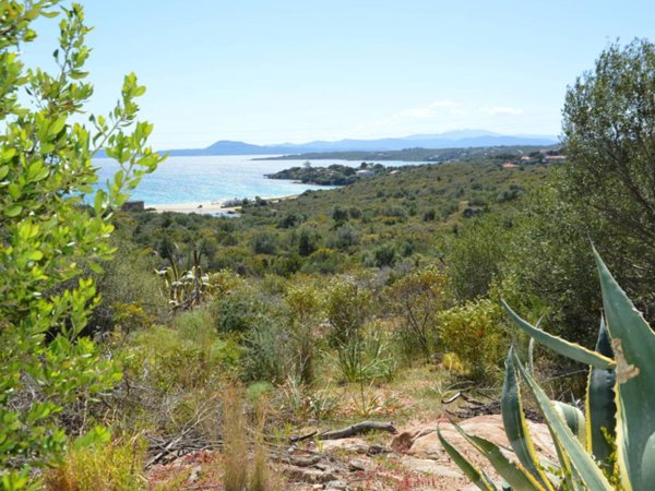 casa indipendente in vendita a Golfo Aranci