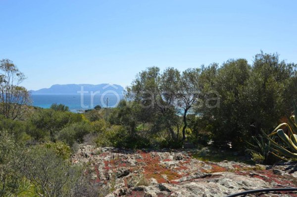 casa indipendente in vendita a Golfo Aranci