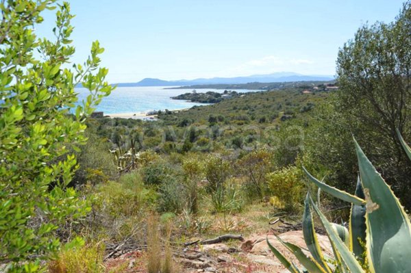 casa indipendente in vendita a Golfo Aranci