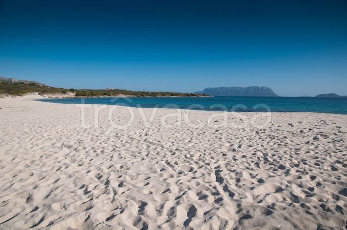 appartamento in vendita a Golfo Aranci