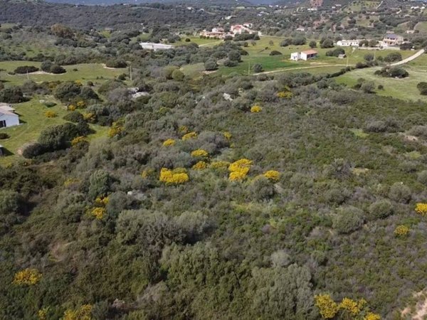 terreno agricolo in vendita a Golfo Aranci