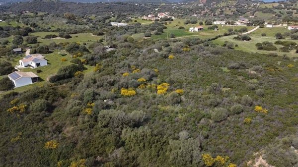 terreno agricolo in vendita a Golfo Aranci