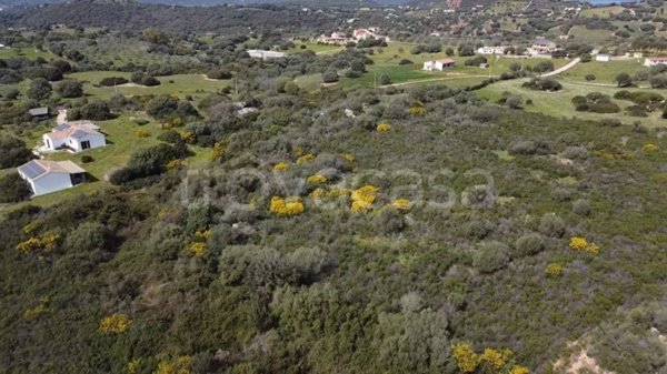 casa indipendente in vendita a Golfo Aranci