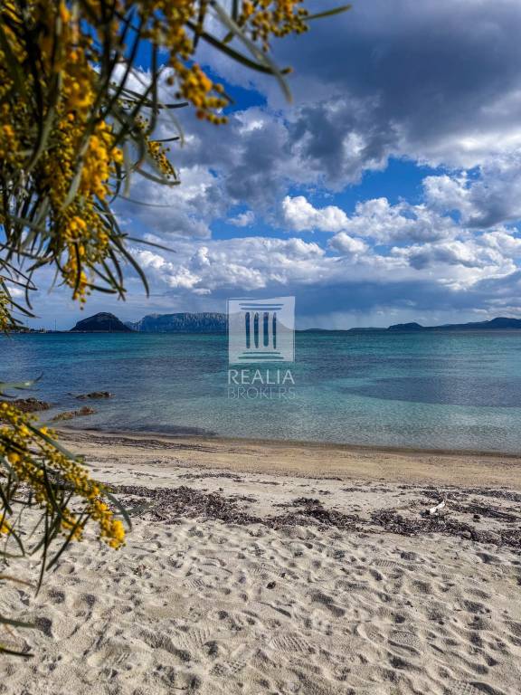 casa indipendente in vendita a Golfo Aranci