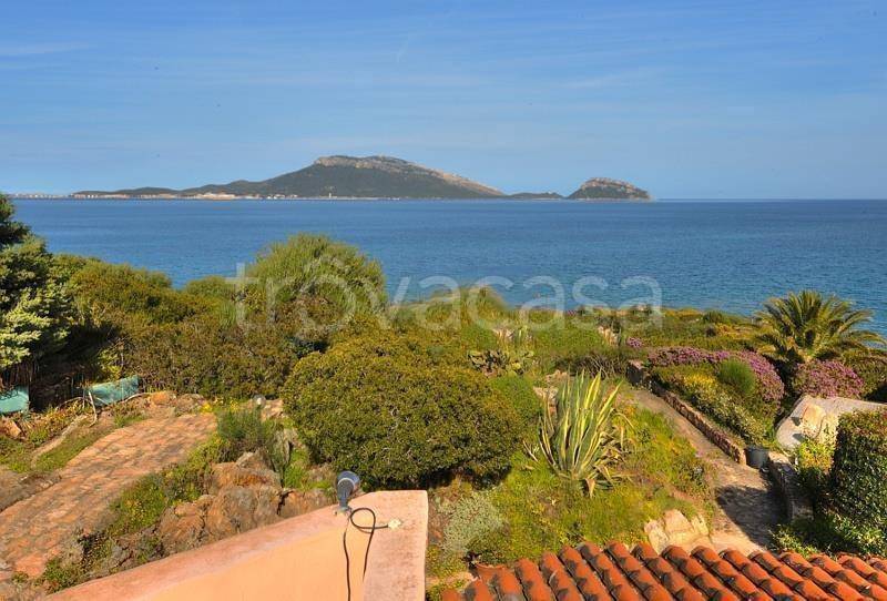 casa indipendente in vendita a Golfo Aranci