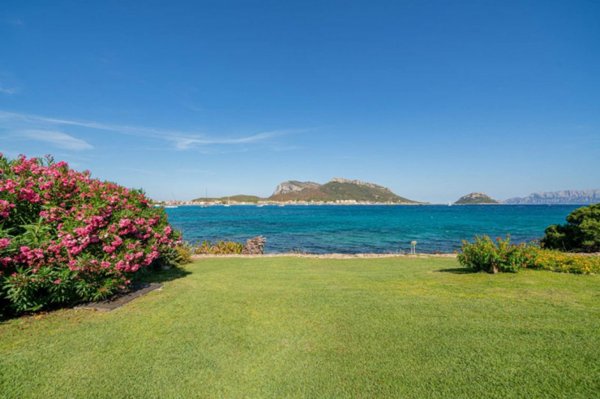 appartamento in vendita a Golfo Aranci