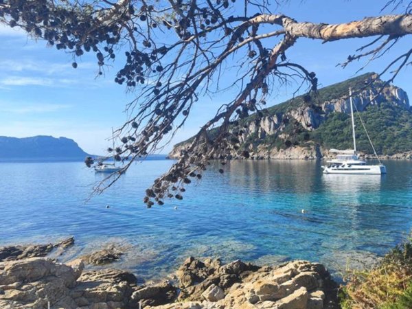 casa indipendente in vendita a Golfo Aranci in zona Marinella