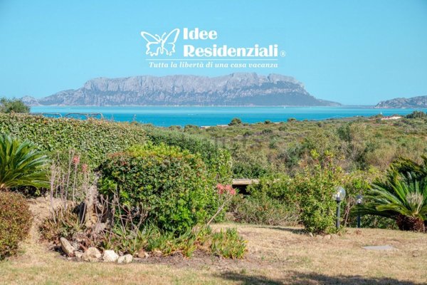casa indipendente in vendita a Golfo Aranci in zona Bados