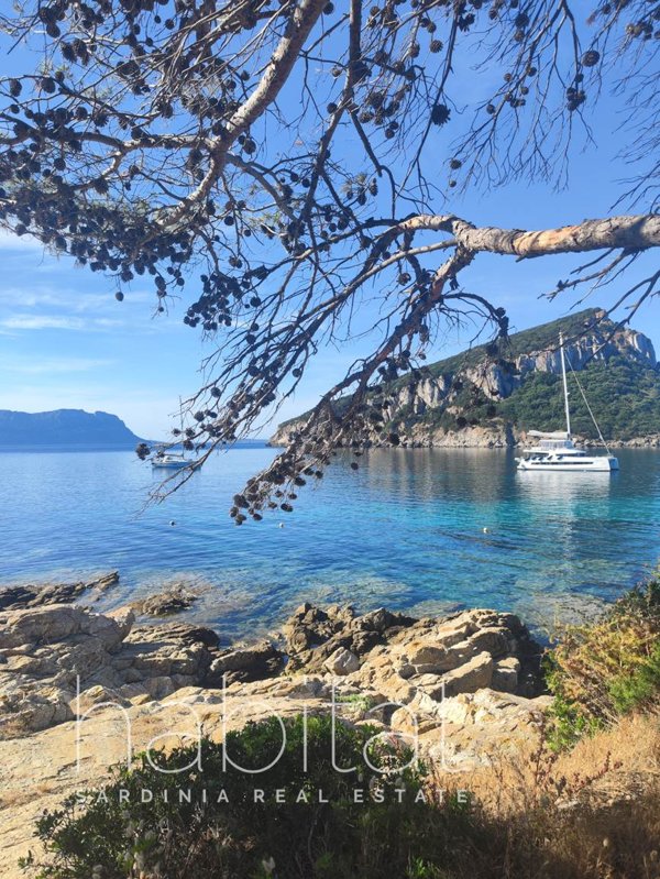 casa indipendente in vendita a Golfo Aranci in zona Marinella