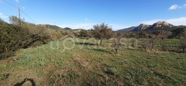 terreno agricolo in vendita a Loiri Porto San Paolo in zona Trudda