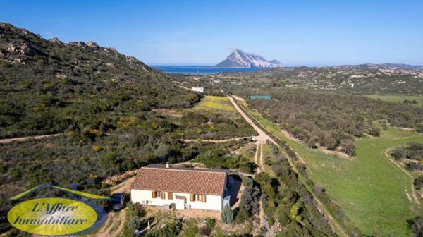 casa indipendente in vendita a Loiri Porto San Paolo in zona Vaccileddi.