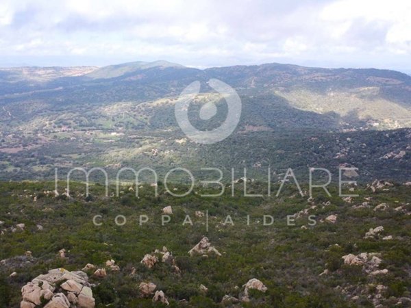 terreno agricolo in vendita a Loiri Porto San Paolo