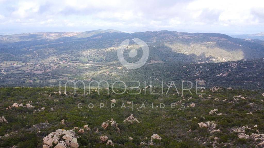 terreno agricolo in vendita a Loiri Porto San Paolo