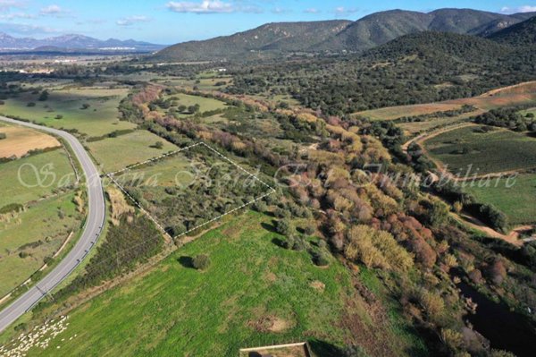 terreno agricolo in vendita a Loiri Porto San Paolo in zona Trudda