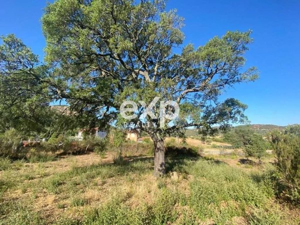 terreno agricolo in vendita a Loiri Porto San Paolo
