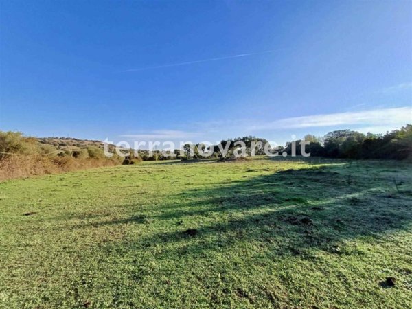 terreno agricolo in vendita a Loiri Porto San Paolo in zona Enas