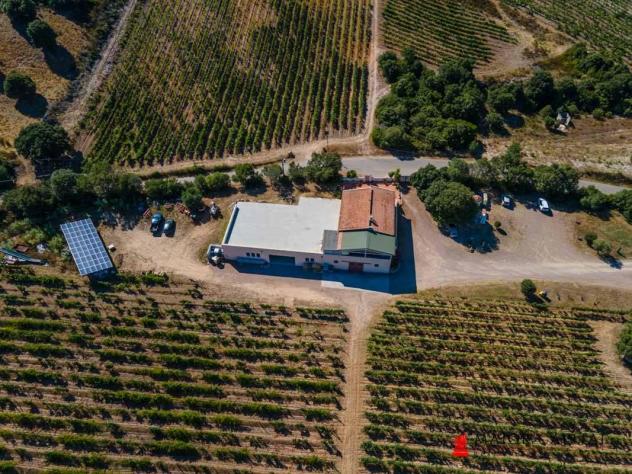 pentavano in vendita a Loiri Porto San Paolo