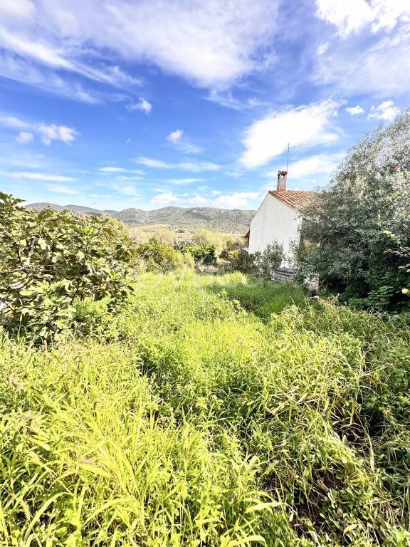terreno agricolo in vendita a Loiri Porto San Paolo in zona Trudda