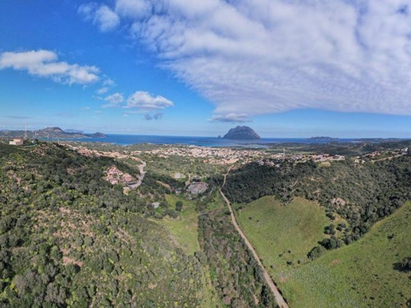 terreno agricolo in vendita a Loiri Porto San Paolo