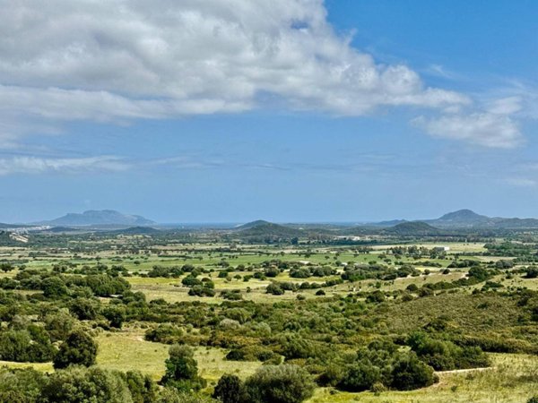 terreno agricolo in vendita a Loiri Porto San Paolo