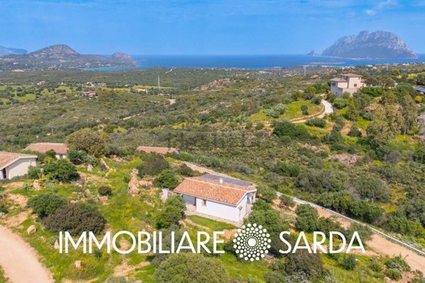pentavano in vendita a Loiri Porto San Paolo