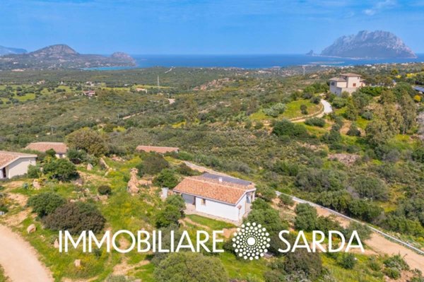 casa indipendente in vendita a Loiri Porto San Paolo