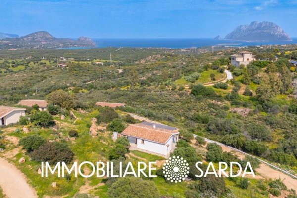 casa indipendente in vendita a Loiri Porto San Paolo