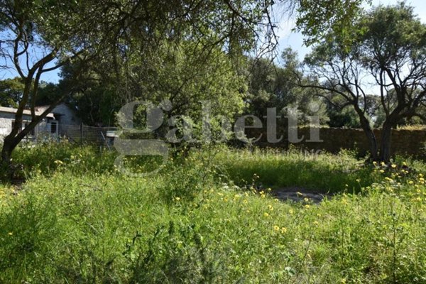 terreno agricolo in vendita a Loiri Porto San Paolo