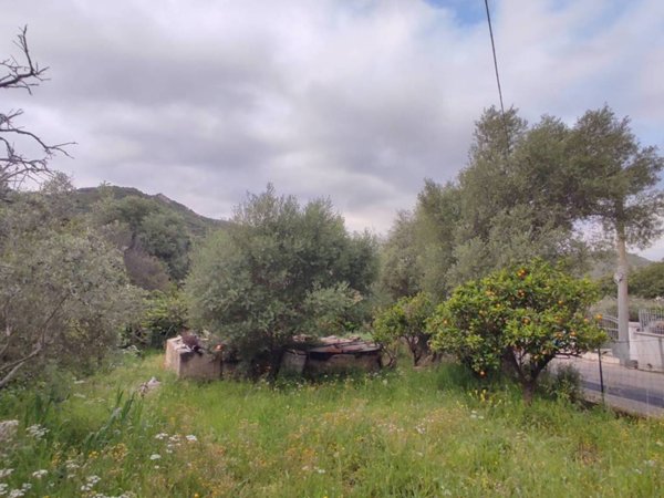 terreno agricolo in vendita a Loiri Porto San Paolo